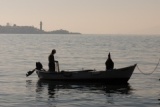 Stambul, 2011